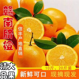 正宗赣南信丰脐橙10斤20斤装整箱江西橙子当季特产新鲜水果包邮