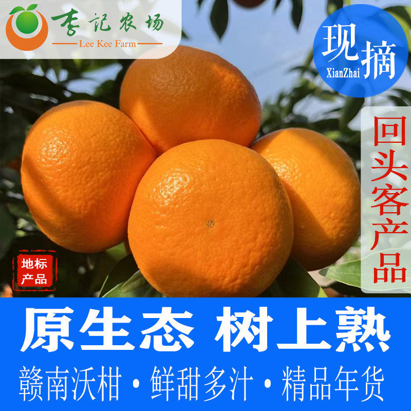 赣南沃柑【李记农场】江西蜜柑橘桔子新鲜解腻水果年货佳品