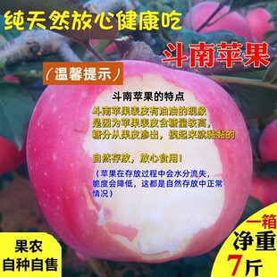 斗南苹果 辽宁大连酸甜新鲜苹果水果当季 应季非红富士苹果5斤装