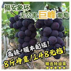 福建福安象环巨峰葡萄特产5斤6斤新鲜水果特产包邮黑藤