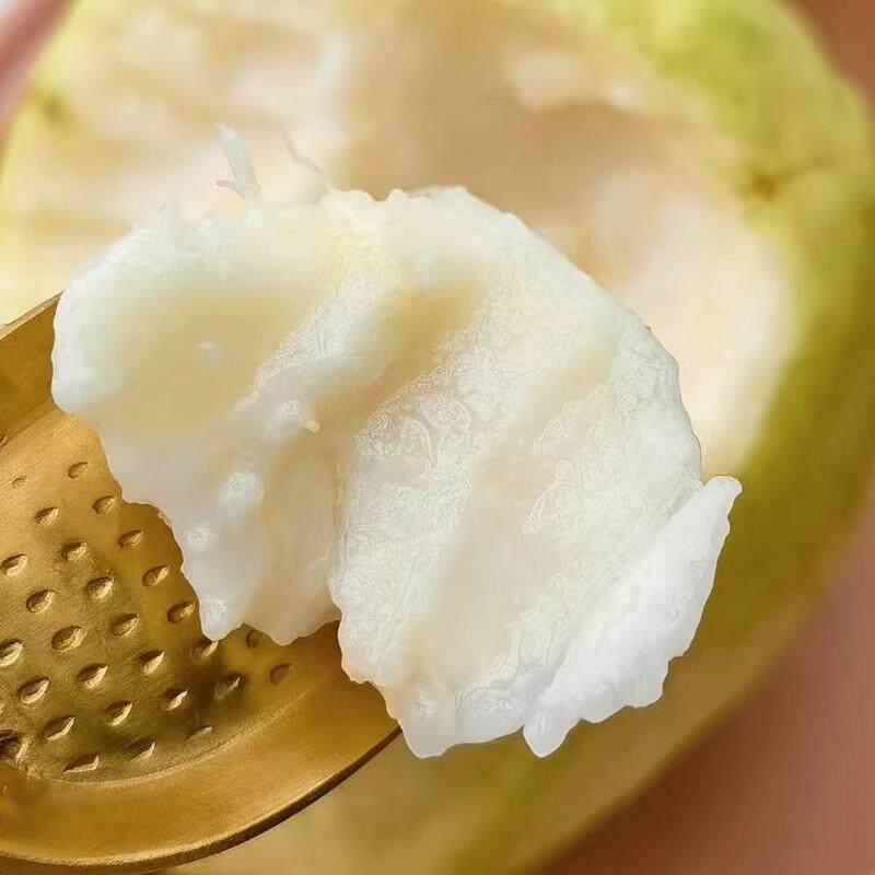 豆尚果品福建奶油芭乐清甜软糯白心热带新鲜水果番石榴大果顺丰