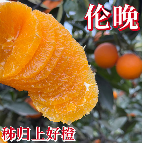 顺丰{礼盒装}秭归九月红