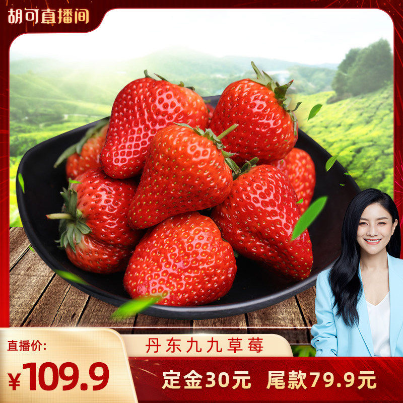 【胡可直播间】正宗丹东99红颜草莓东港九九草莓新鲜采摘应季水果