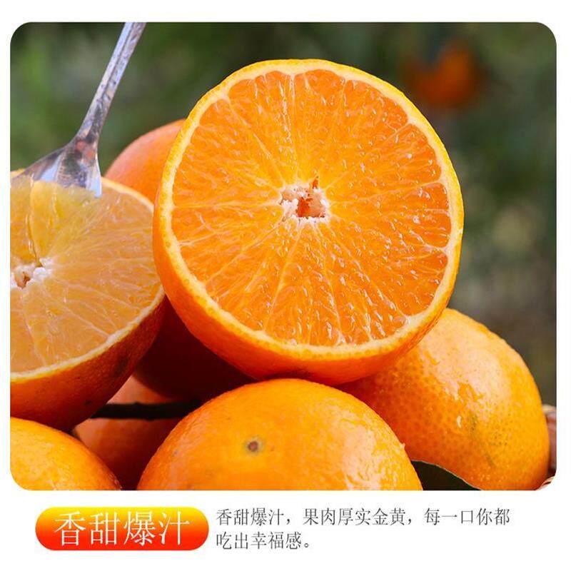 新鲜水果当季爱媛28号孕妇礼盒装包邮时令柑橘果冻橙