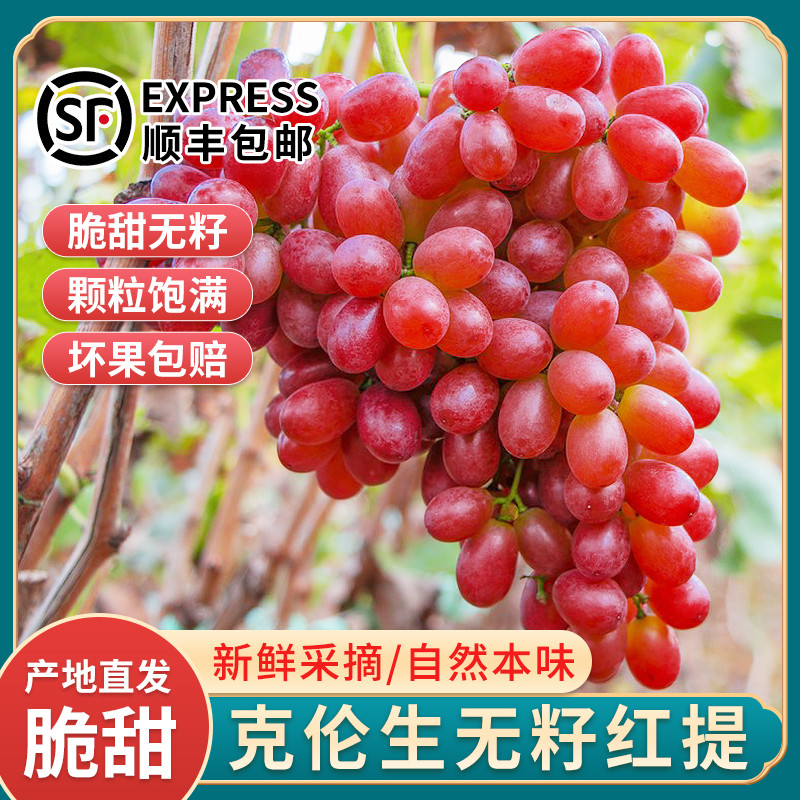 克伦生葡萄5斤新鲜现摘无籽红提玻璃脆纯甜提子当季孕妇水果包邮3