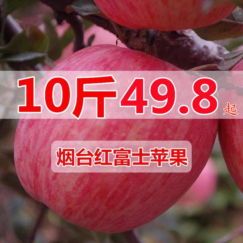 山东烟台红富士苹果水果新鲜10斤一级精品助农栖霞丑脆甜整箱吃的