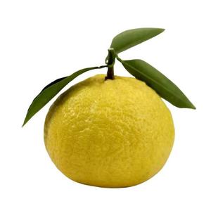 春香橘柚新鲜象山青精品礼盒装孕妇水果纯甜无酸柠檬蜜桔黄金贡柚