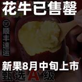 勿拍已售罄预计8月新上市 天水花牛苹果甘肃粉面沙甜蛇红苹果