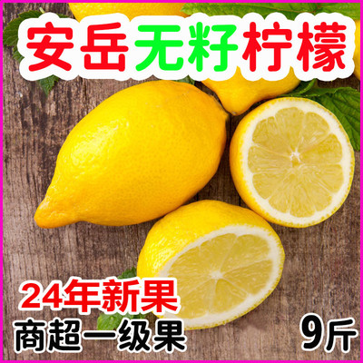 四川安岳黄柠檬新鲜无籽皮薄一级奶茶店专用香水柠檬商用水果产地