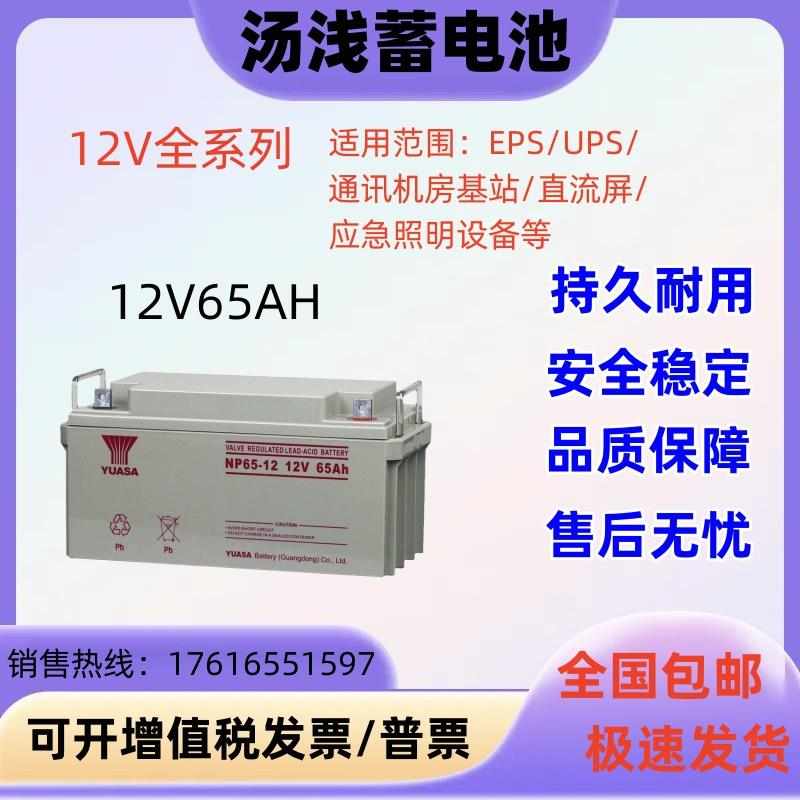 汤浅蓄电池12V65AH直流屏 EUPS电源 太阳能铅酸蓄电池
