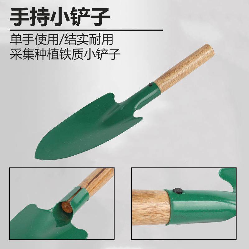 爆款小铲子沙滩小铲挖玩沙铲子采集捕捞小孩挖土玩雪雪铲工具,文具电教/文化用品/商务用品,教学标本/模型,淘宝优惠券,粉丝福利购,淘宝优惠卷