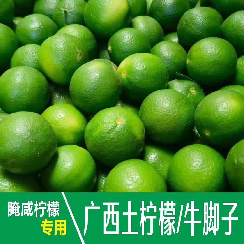 广西土柠檬牛脚子腌咸柠檬专用新鲜青柠檬现摘现发健康美味牛角子