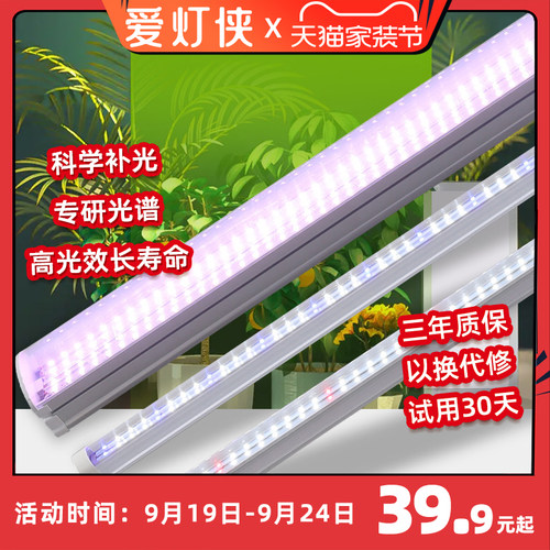 爱灯侠 多肉补光灯 家用上色仿太阳全光谱led植物生长灯室内绿植