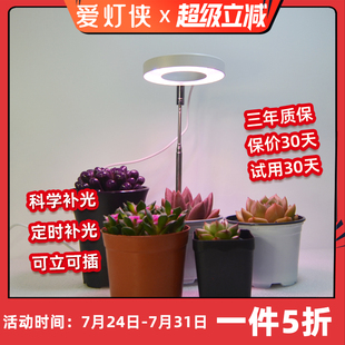 爱灯侠植物补光灯多肉生长灯全光谱室内绿植上色光照定时植物灯