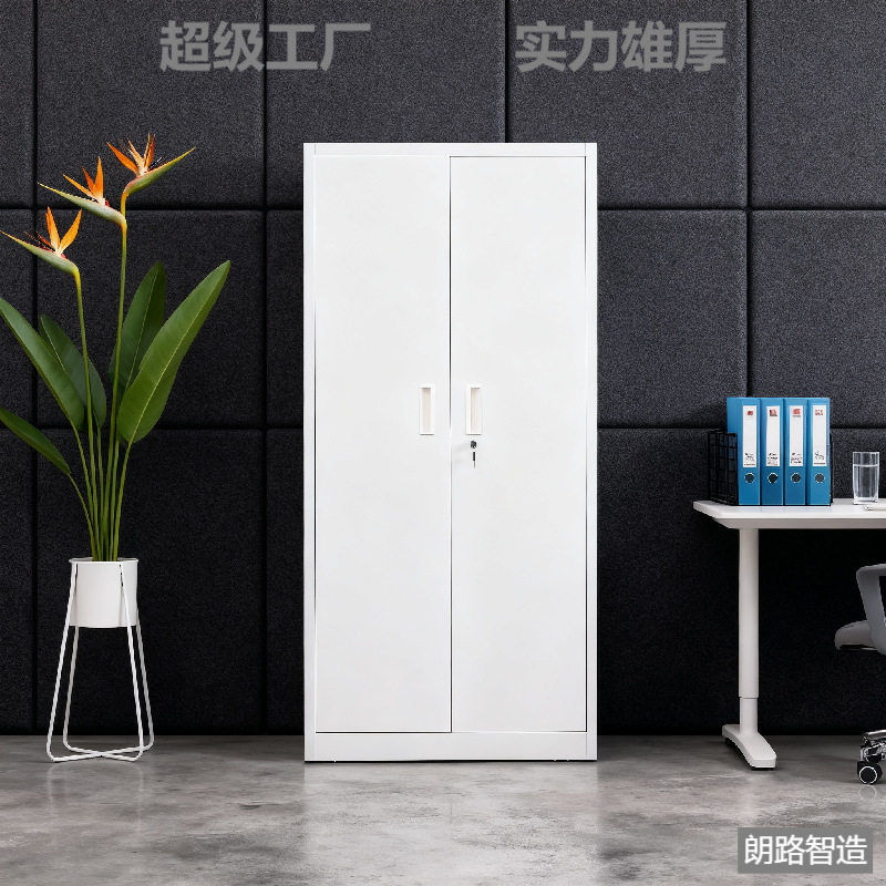 重型钢制办公室学校库房文件工具收纳储藏落地双门置物柜防火防尘