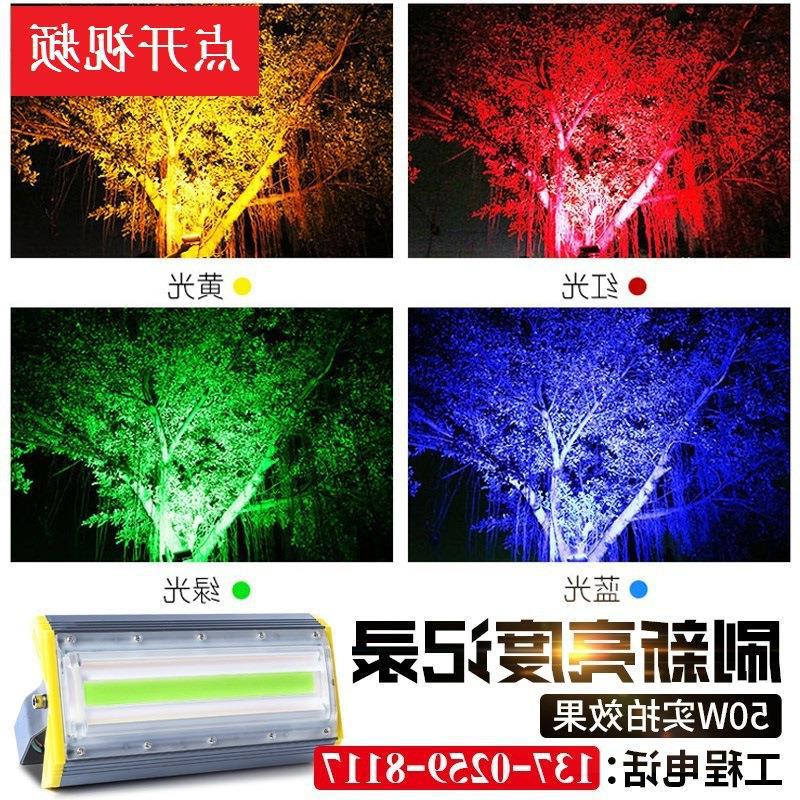 led七彩射灯户外投光灯防水射树灯园林绿化景观照树灯庭院草坪灯