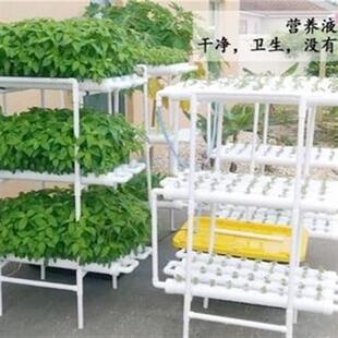 定植栏阳台式 管道设备种菜机阳台盆无土栽培蔬菜水培绿植花架子