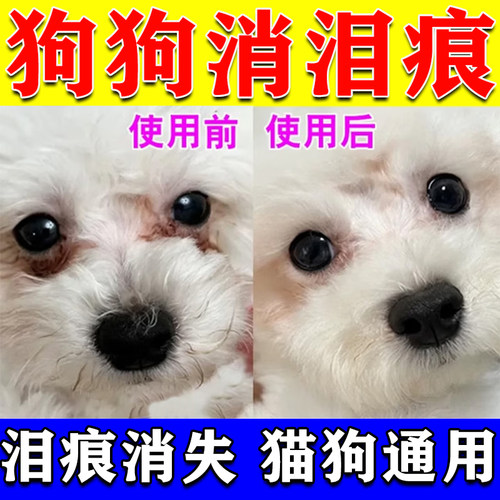 狗狗去泪痕神比熊泪痕液器
