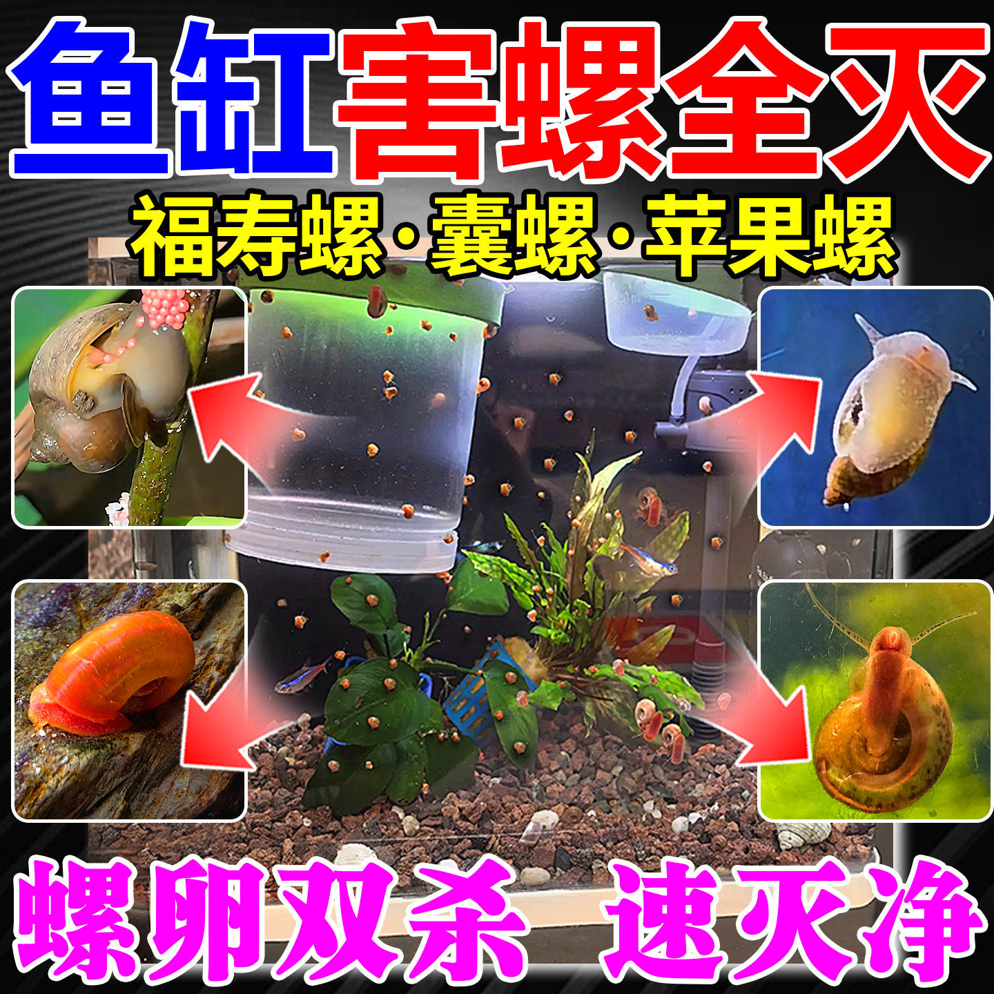 鱼缸除螺灭螺药清理苹果螺蜗牛剂杀福寿螺不伤鱼养鱼必备药灭净M