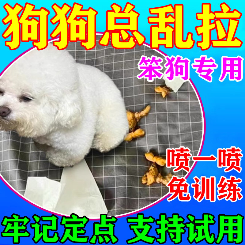 狗狗定点排便上厕所诱导剂训练引导狗大小便防止小狗乱拉屎尿