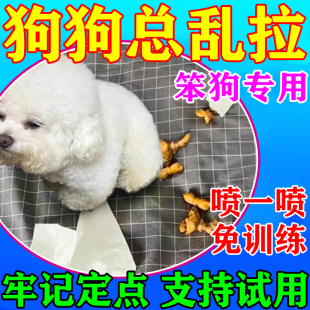 狗狗定点排便上厕所诱导剂训练引导狗大小便防止小狗乱拉屎尿