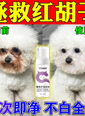 比熊嘴巴去黄胡子狗狗嘴毛去黄