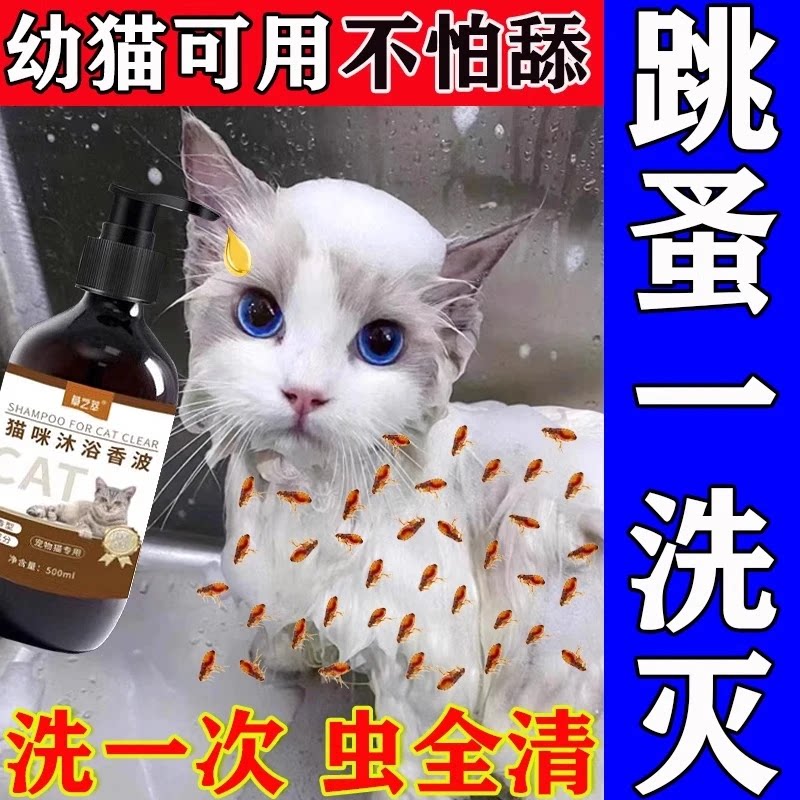 猫咪专用沐浴露杀菌除螨去猫身
