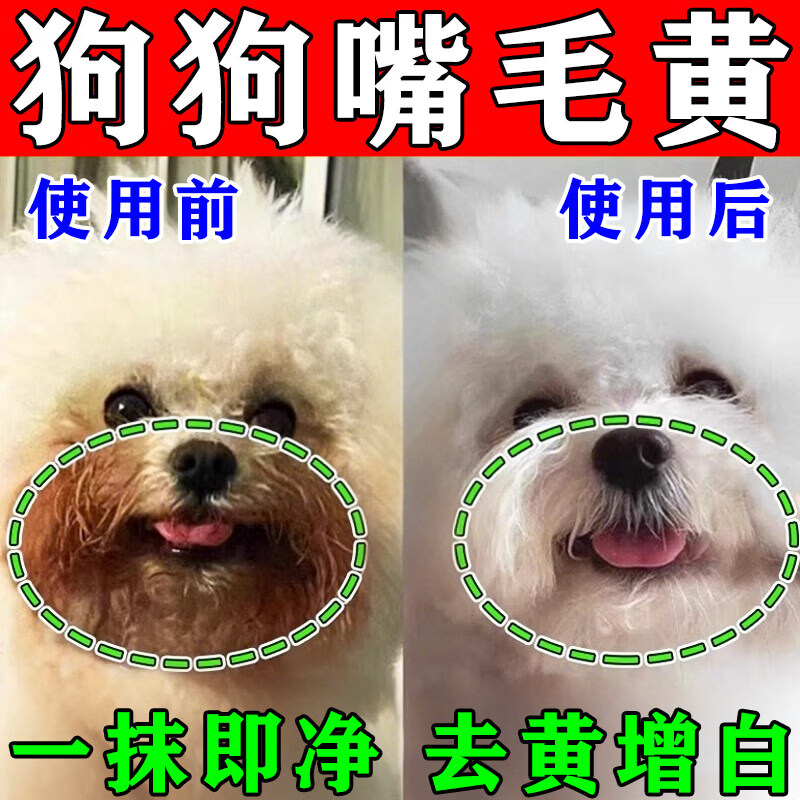 比熊嘴巴去黄胡子狗狗嘴毛去黄