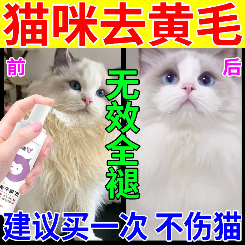 猫咪毛发去黄毛美白去嘴角黄毛泪痕布偶黑下巴油尾巴清洁干洗慕斯