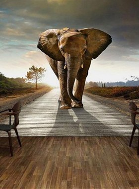Custom boys wikld wallpaper mural elephant on road with suns