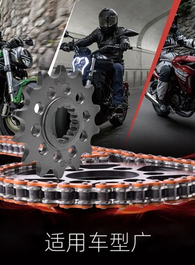 适用KTM125g 144 150 200 250 300越野车改装大小飞齿链轮油封链