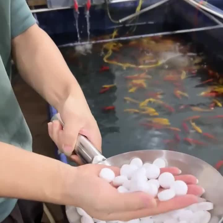 水族盐观赏鱼专用球盐鱼缸杀菌盐软化净水养鱼用盐海盐片鱼缸盐球