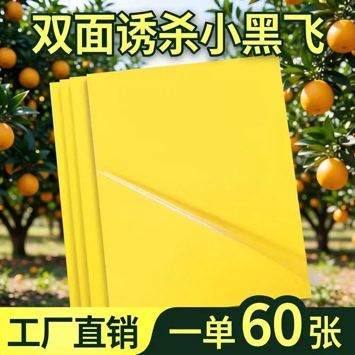 大棚果园粘虫双面黄板诱杀果蝇蓟马针蜂瓜果蝇柑橘树木蚊虫诱虫板