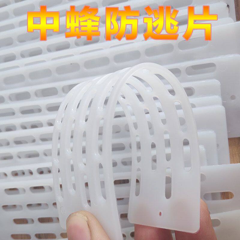 防逃片中蜂防跑王片养蜂工具蜂箱蜂王防跑片防盗蜂隔王片塑料包邮