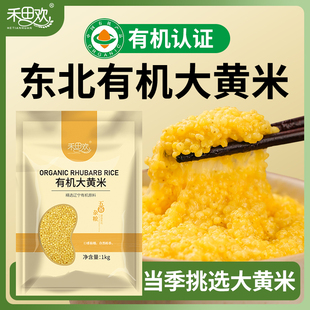 禾田欢有机大黄米东北大黄米五谷杂粮新米粥米黄黏米黍米当季新米