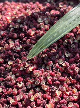 四川正宗汉源花椒粒特香特麻包邮清溪贡椒娃娃椒原产地直发保证好