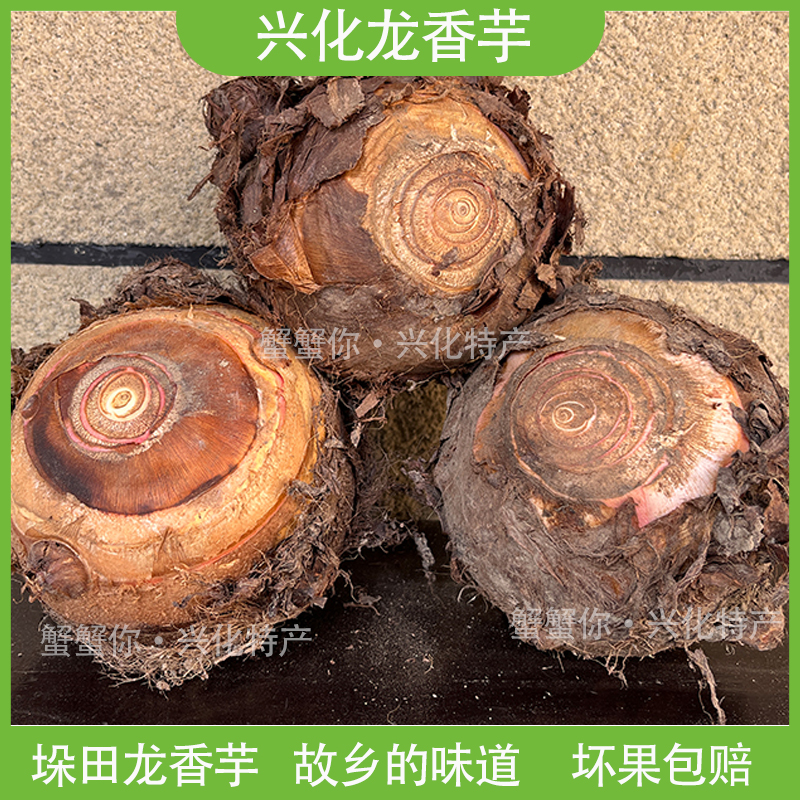 兴化垛田龙香芋龙头芋头根大软糯细腻新鲜蔬菜耐存储火锅食材