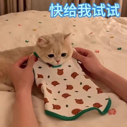 猫咪衣服奶猫背心防掉毛薄绒马甲