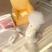 Пузырь фиолетовый