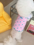 Корейская собачья одежда кошка весна и летняя подвеска против Hair Thin Pet Teddy Bichon Bear Gold Gradient Layer Котенок