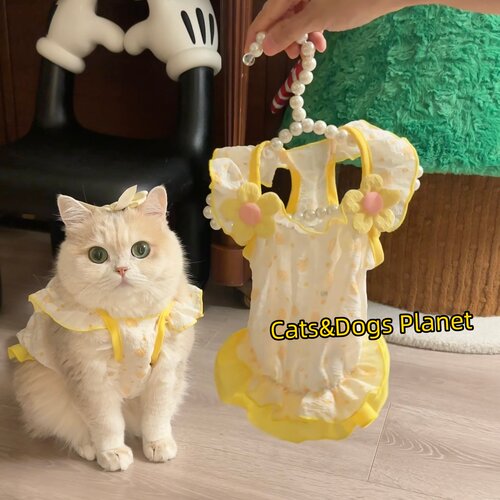 猫狗夏季薄款透气防掉毛公主裙