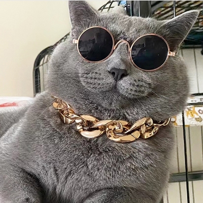 宠物金项链猫咪大金链子项链饰品蓝猫狗狗项圈配饰搞笑脖圈潮流酷