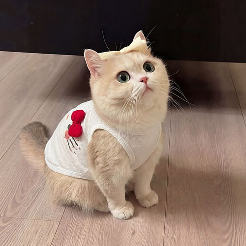 夏季透气防晒防掉毛猫狗吊带背心