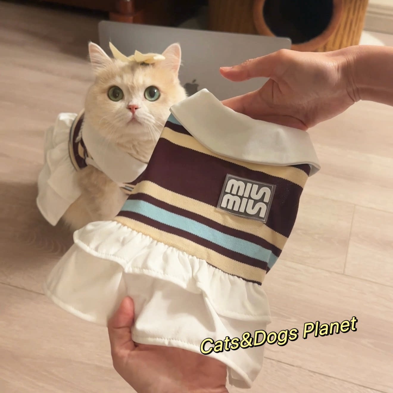 猫咪狗狗背心宠物春夏新款可露丽条纹背心裙防晒防掉毛透气POLO衫