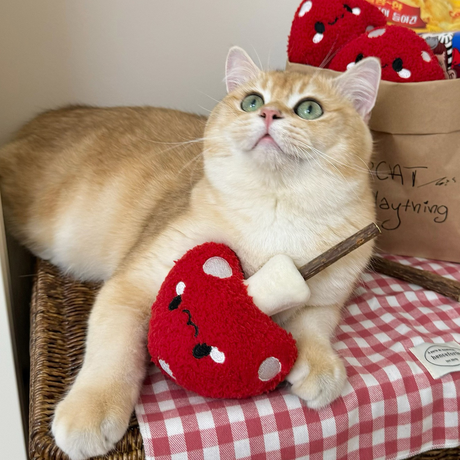 猫咪玩具磨牙逗猫棒金渐层幼猫玩耍狗狗耐咬自嗨宠物小猫毛绒蘑菇