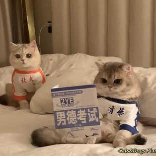 猫咪狗狗宠物服装春秋款学霸复古背心清华北大猫两脚衣服情侣套装