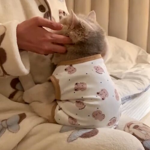 薄荷猫春夏猫咪衣服家居服防掉毛