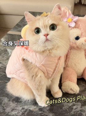 宠物猫咪狗狗加厚保暖棉服小鸭子口水巾款式可爱衣服金渐层比熊犬
