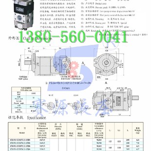 F4.5 L双联泵13齿花键轴液压 G36 合肥赛源液压齿轮泵CkBHY