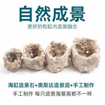 奶嘴海葵窝地毯活石巢窝家杯海葵家E屋窝杯容器防跑小丑鱼繁殖罐